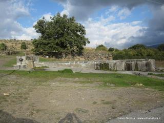 ntana Murata21-10-2014 19-39-23